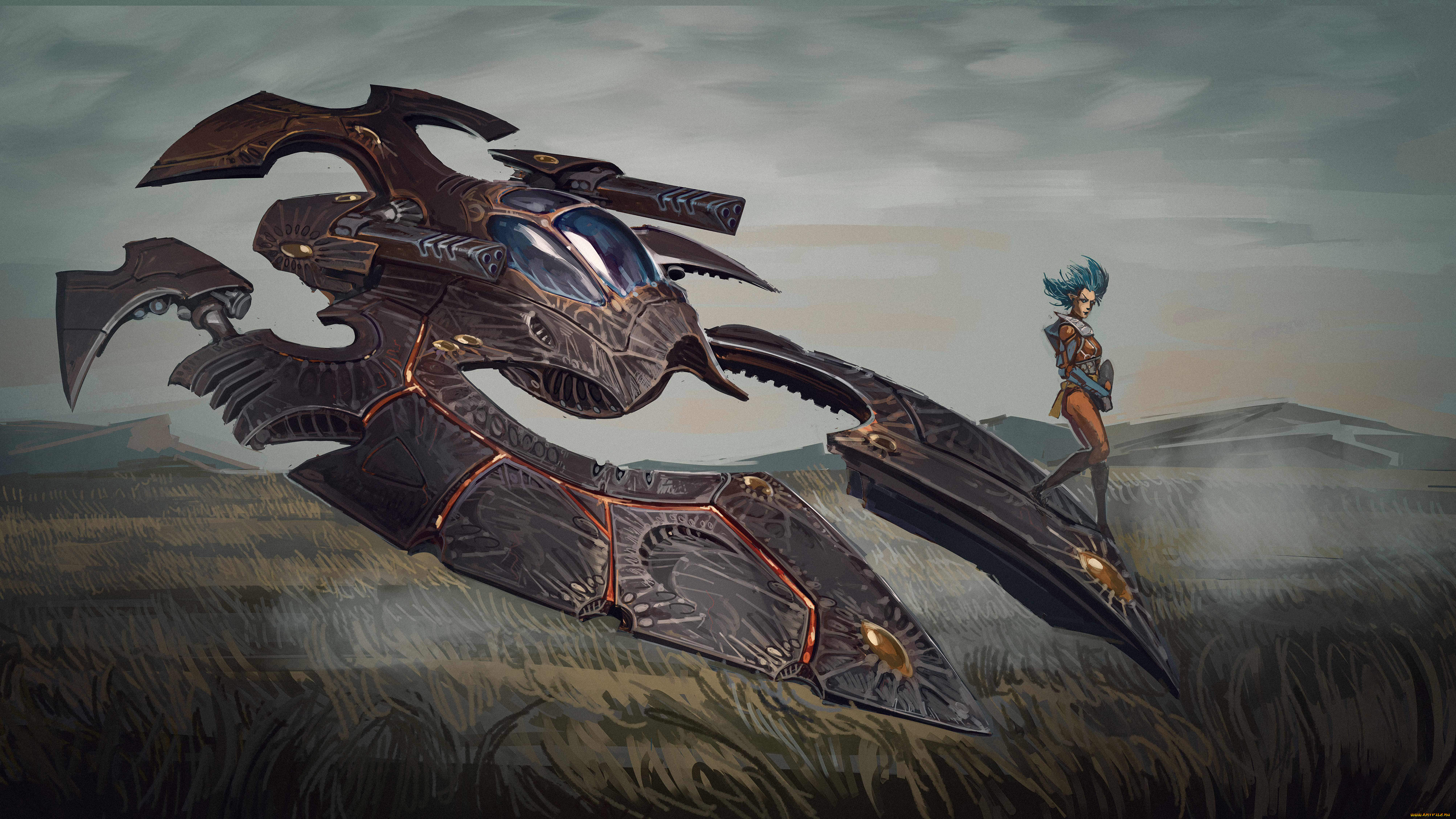 �������, ����������� �������,  ����������,  �������, �������, ����������